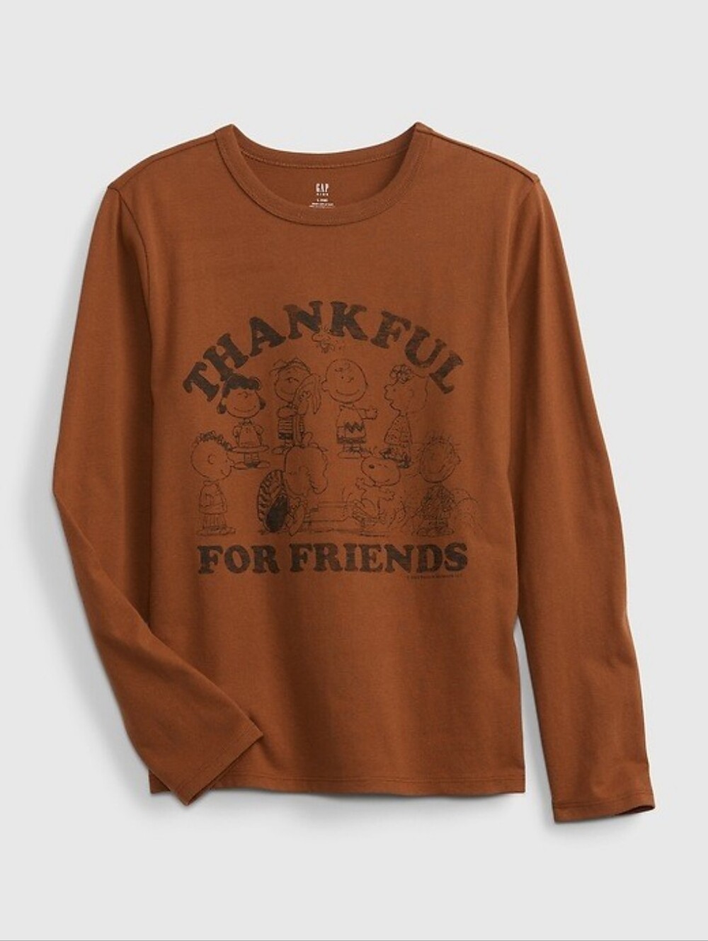 NWT 4T babyGap Gap Peanuts Snoopy Thankful for Friends Long Sleeve Thanksgiving